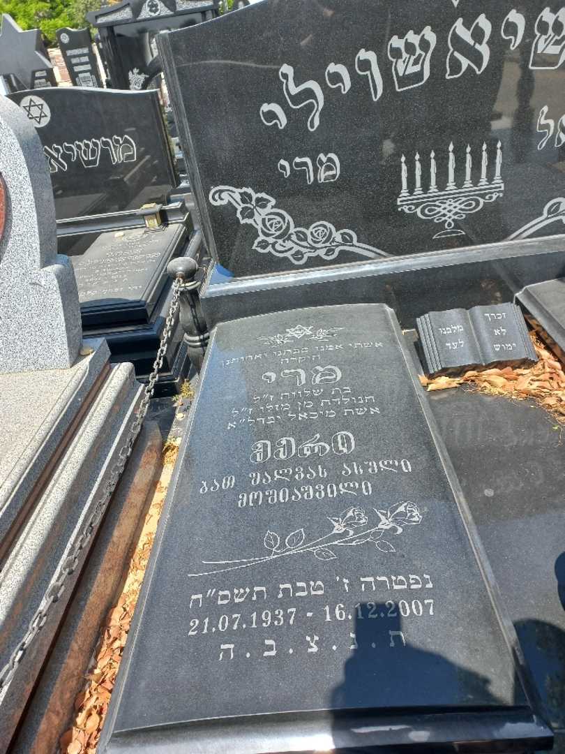 קברו של ורה מושיאשבילי