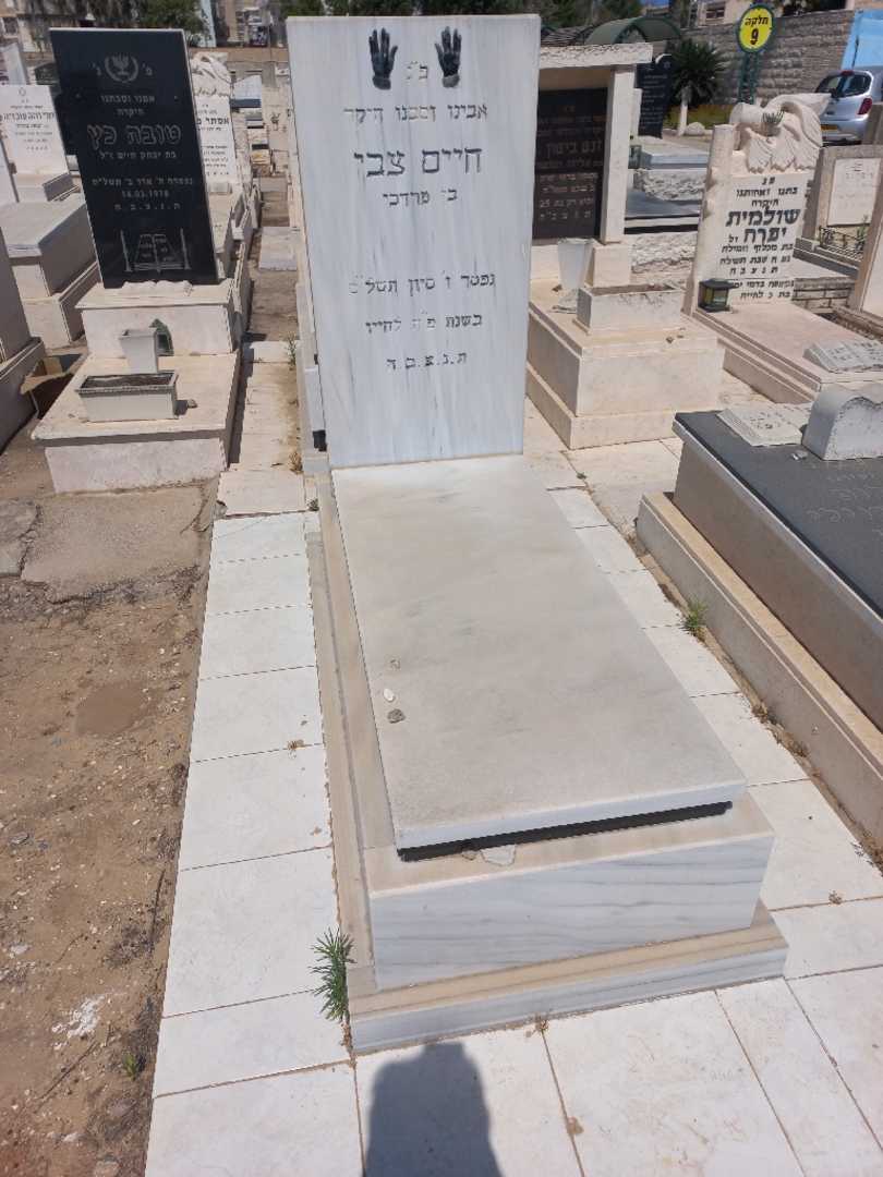 קברו של חיים גרינברג )צבי(