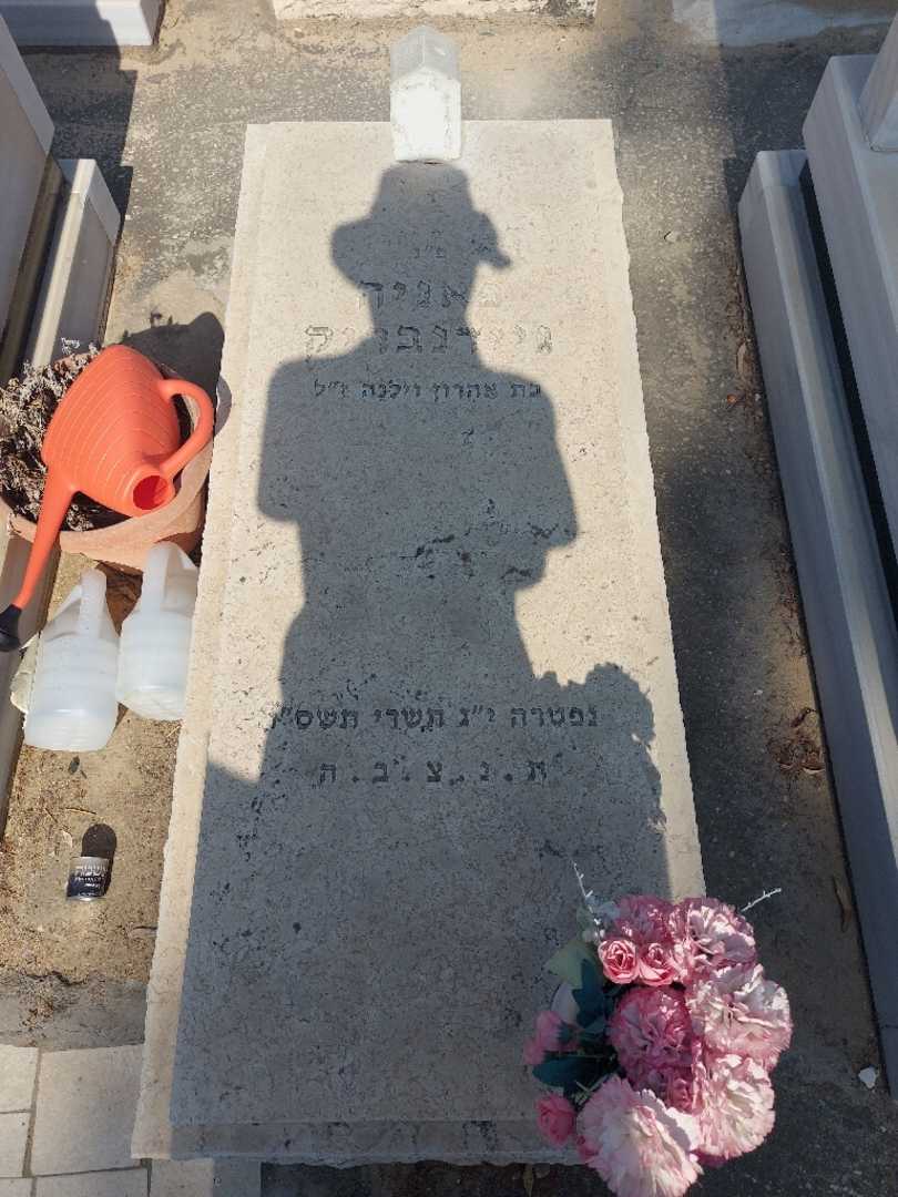 קברו של פאניה גיידנבריק
