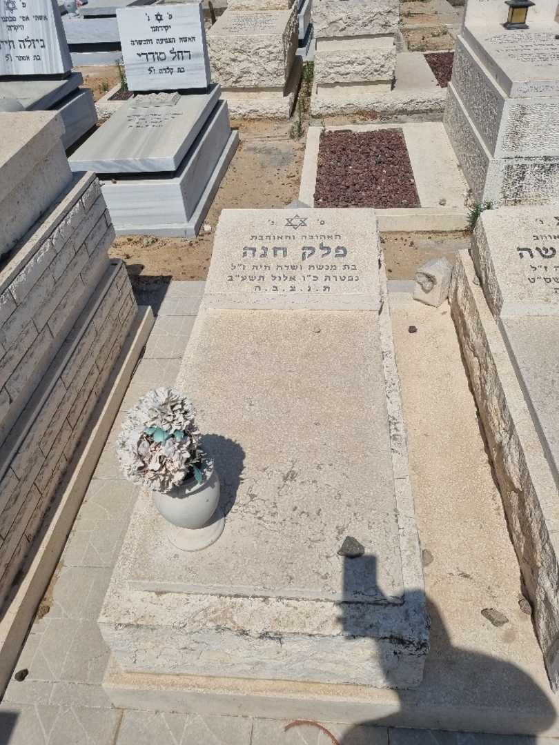 קברו של חנה פלק. תמונה 2