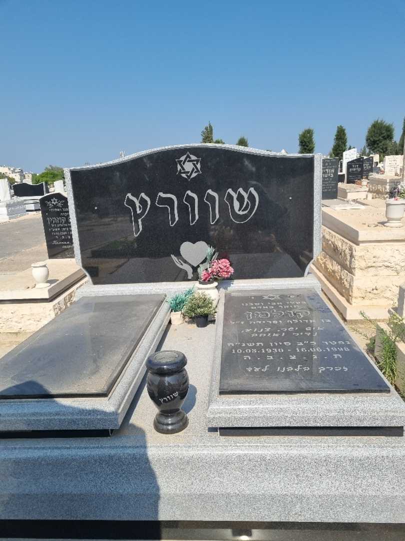 קברו של קולמן שוורץ. תמונה 1