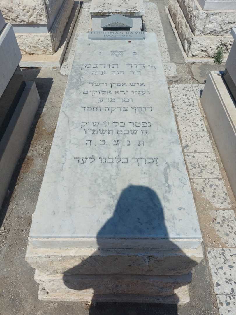 קברו של דוד טורגמן