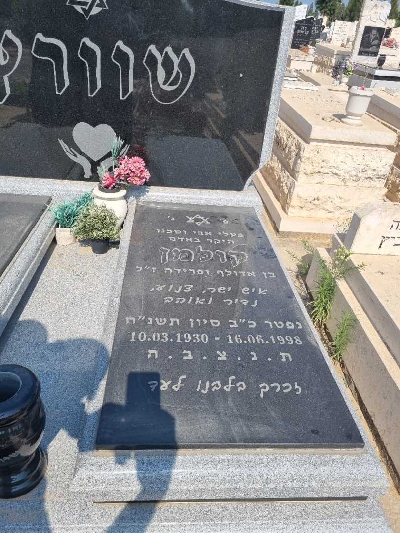 קברו של קולמן שוורץ. תמונה 2