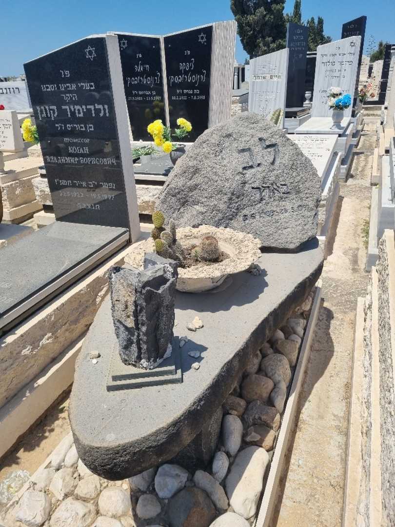 קברו של לב בארר