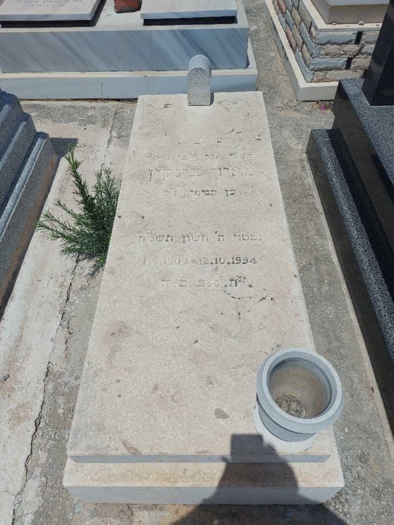 קברו של מאיר צינקין