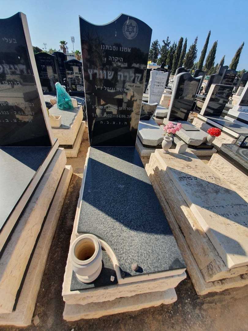 קברו של קלרה שורץ. תמונה 1