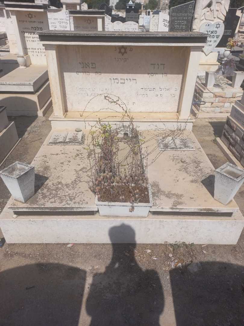 קברו של פייגה רייכמן. תמונה 2