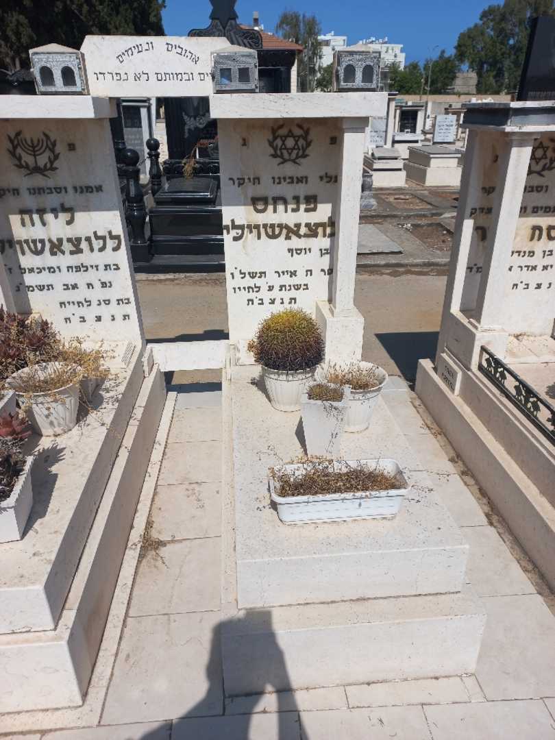 קברו של פנחס ללוצאשוילי. תמונה 2