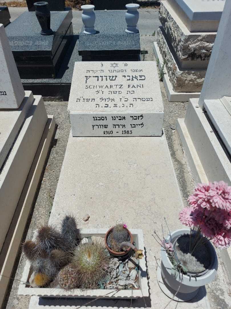 קברו של פאני שוורץ
