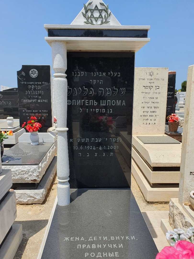 קברו של שלמה פליגל
