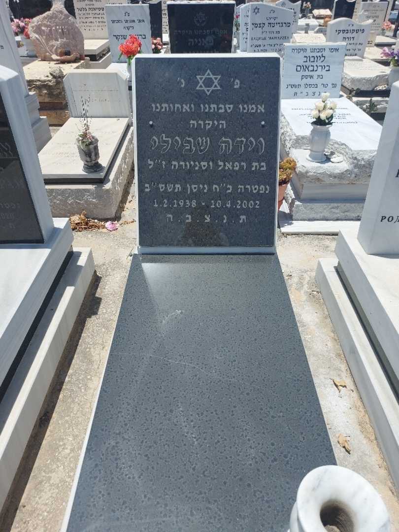 קברו של וידה שוילי