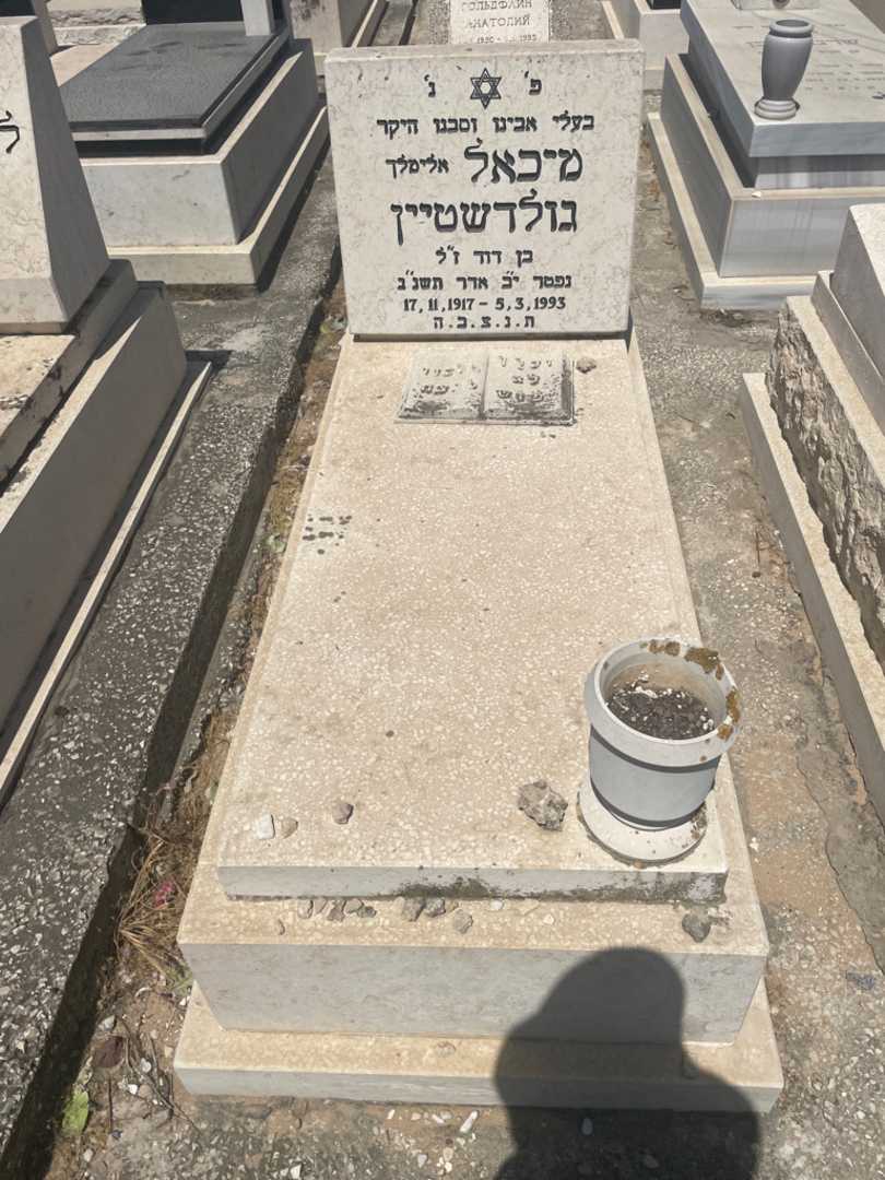 קברו של מיכאל "אלימלך" גולדשטיין