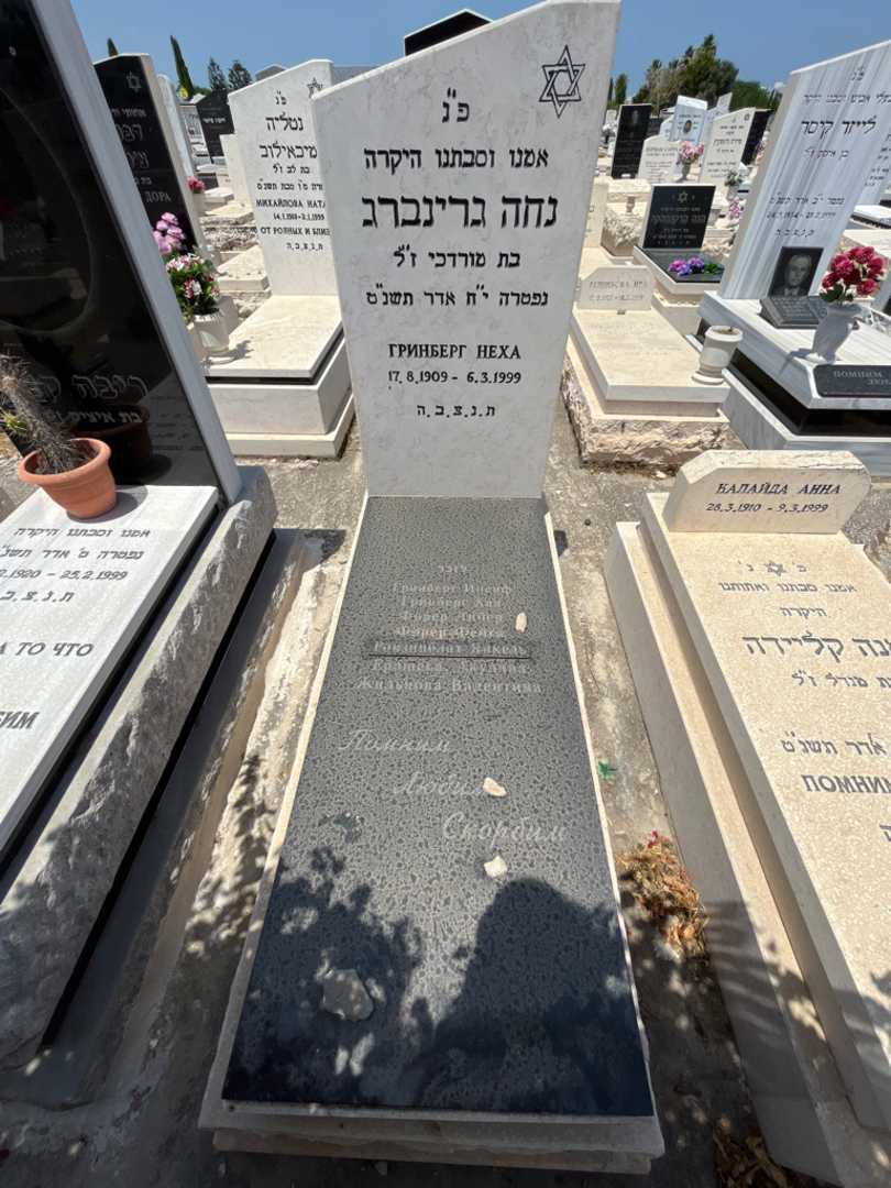 קברו של נחה גרינברג