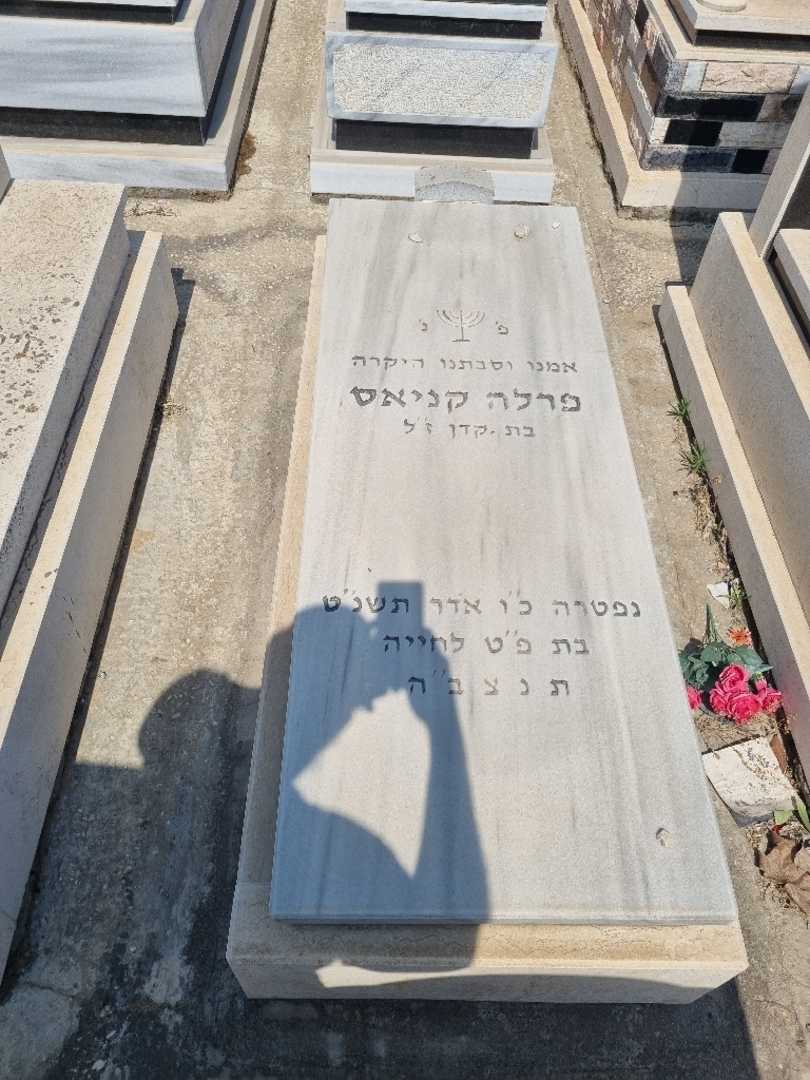 קברו של פרלה קנייס