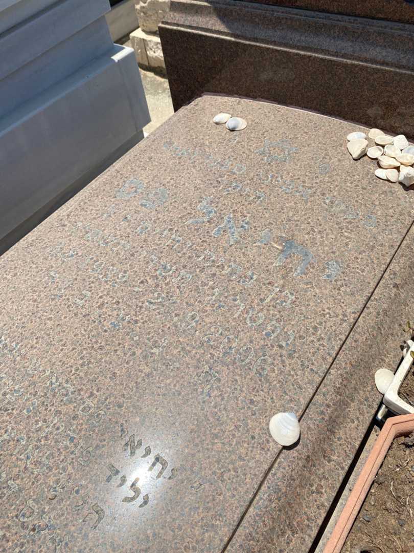 קברו של יחיאל פס. תמונה 3