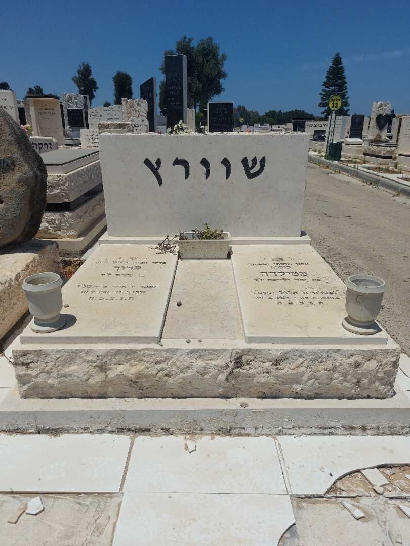 קברו של מתילדה שברץ. תמונה 2