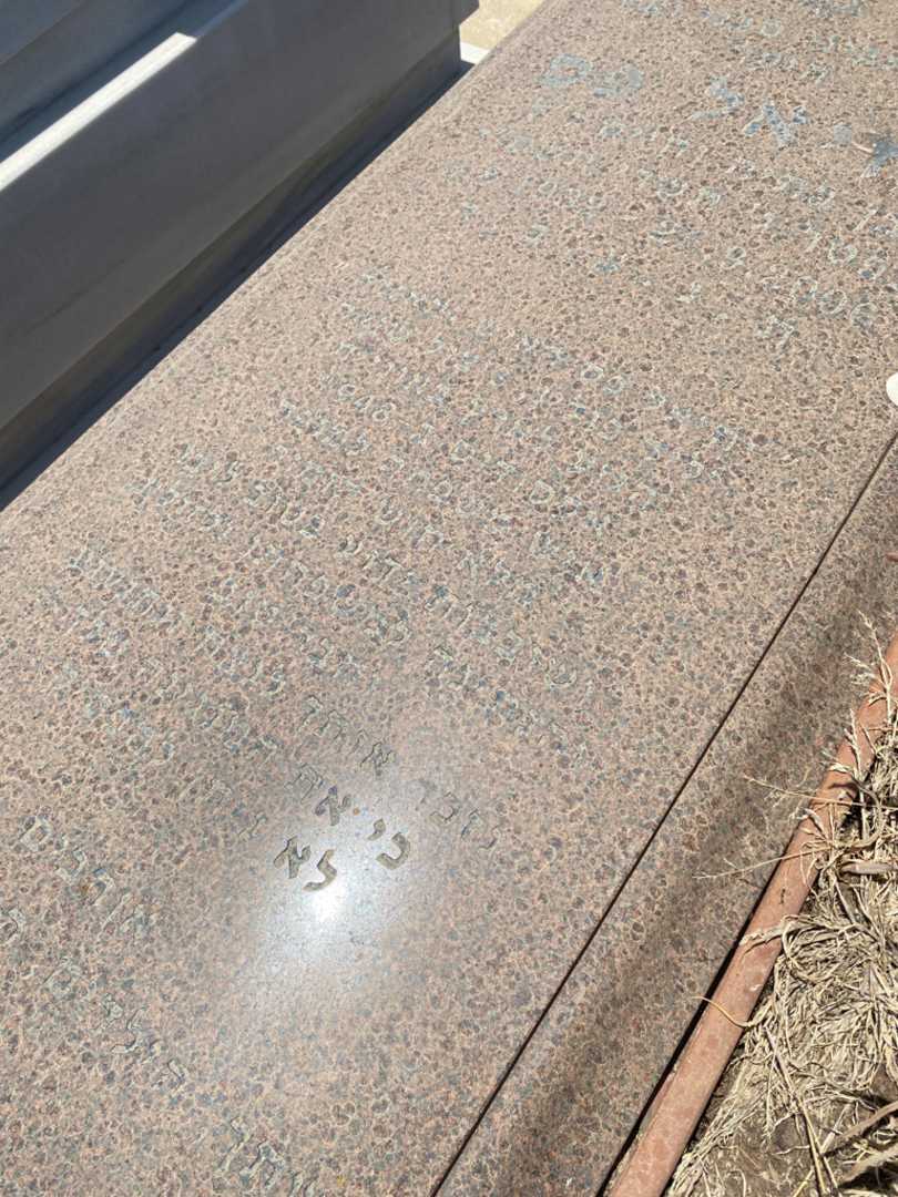 קברו של יחיאל פס. תמונה 4