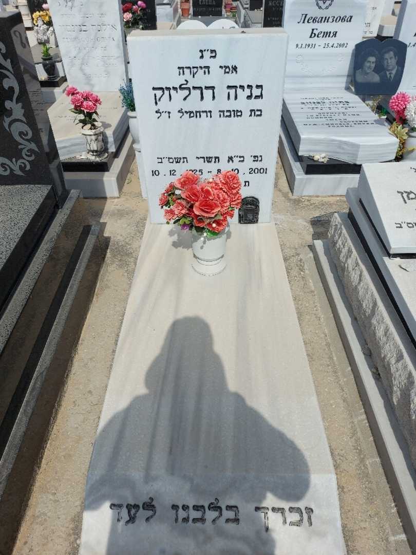 קברו של גניה דרליזק. תמונה 1