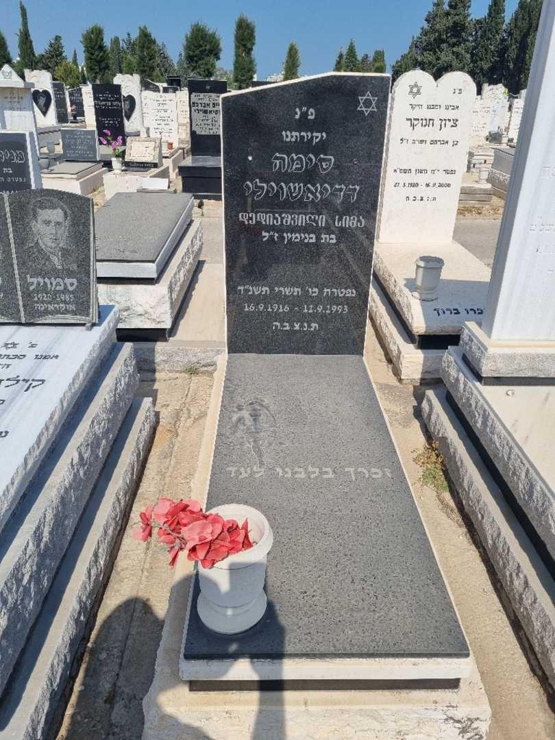 קברו של סימה דדיאשוילי