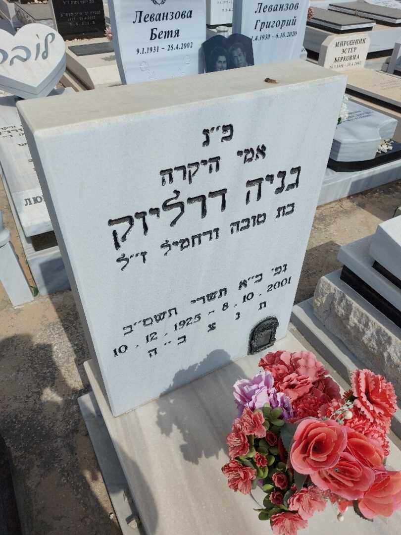 קברו של גניה דרליזק. תמונה 2