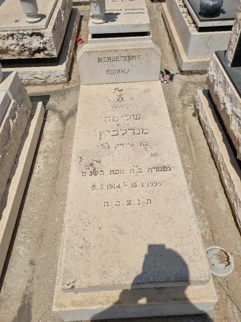 קברו של שלימה מנדלביץ