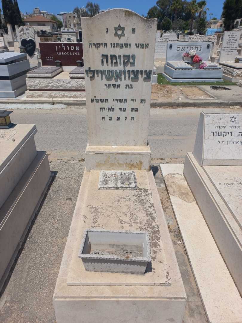קברו של נקומה צציאשוילי