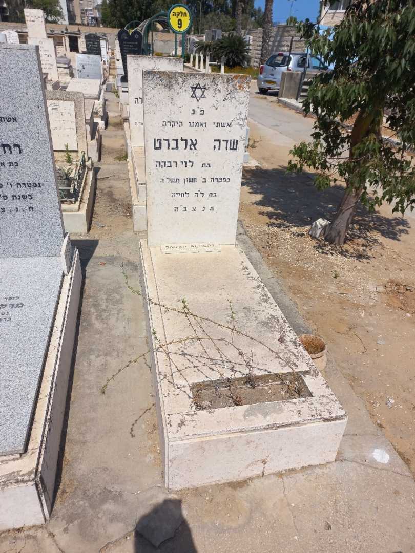 קברו של שרה אלברט