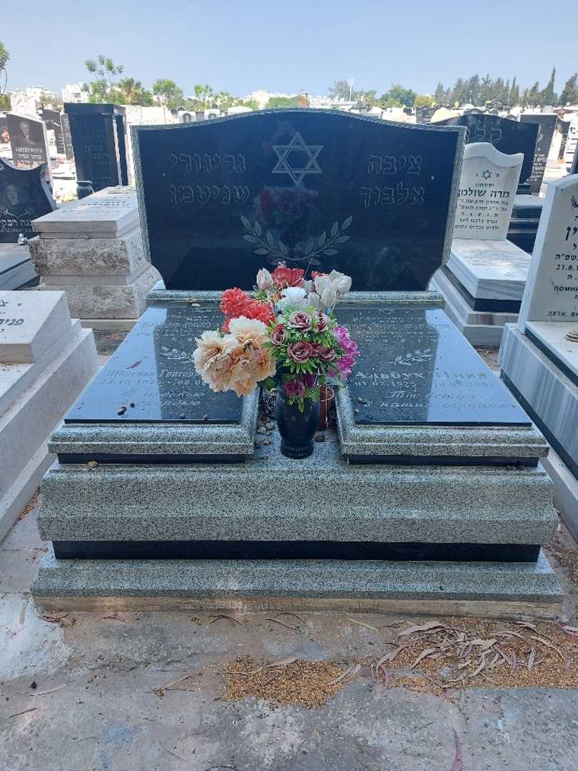 קברו של ציבה אלבוך. תמונה 1