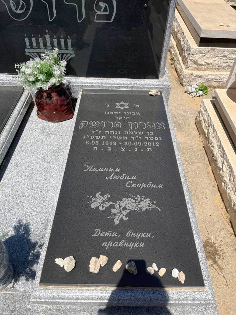 קברו של אהרון פרושק. תמונה 1