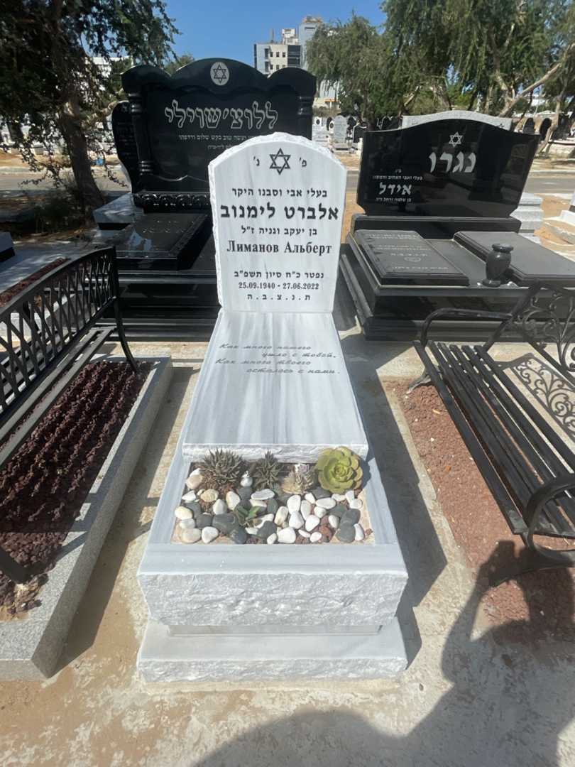 קברו של אלברט לימנוב