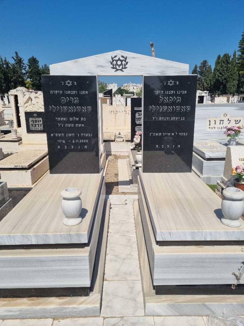 קברו של מיכאל שאשואשוילי. תמונה 1