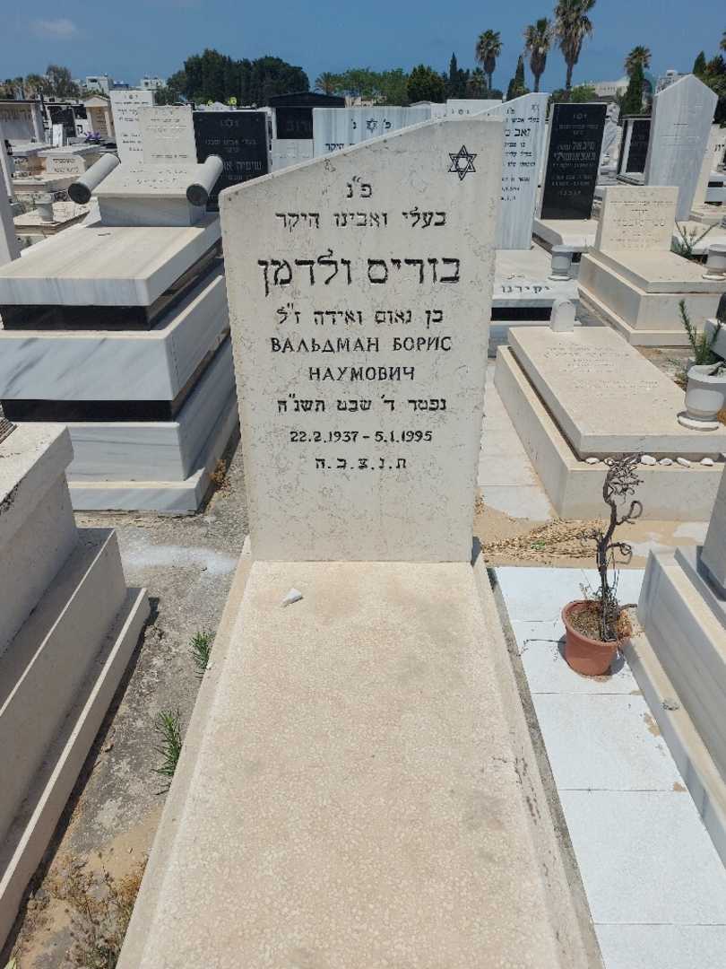 קברו של בוריס ולדמן