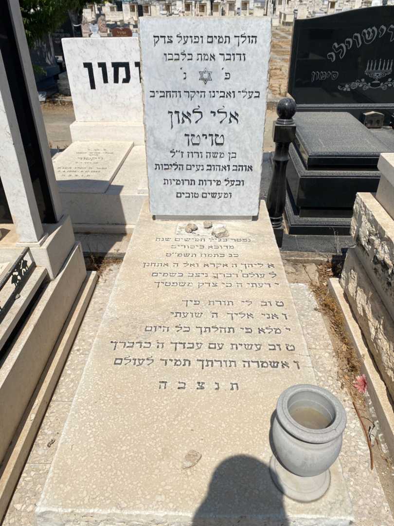 קברו של אלי לאון טויטו