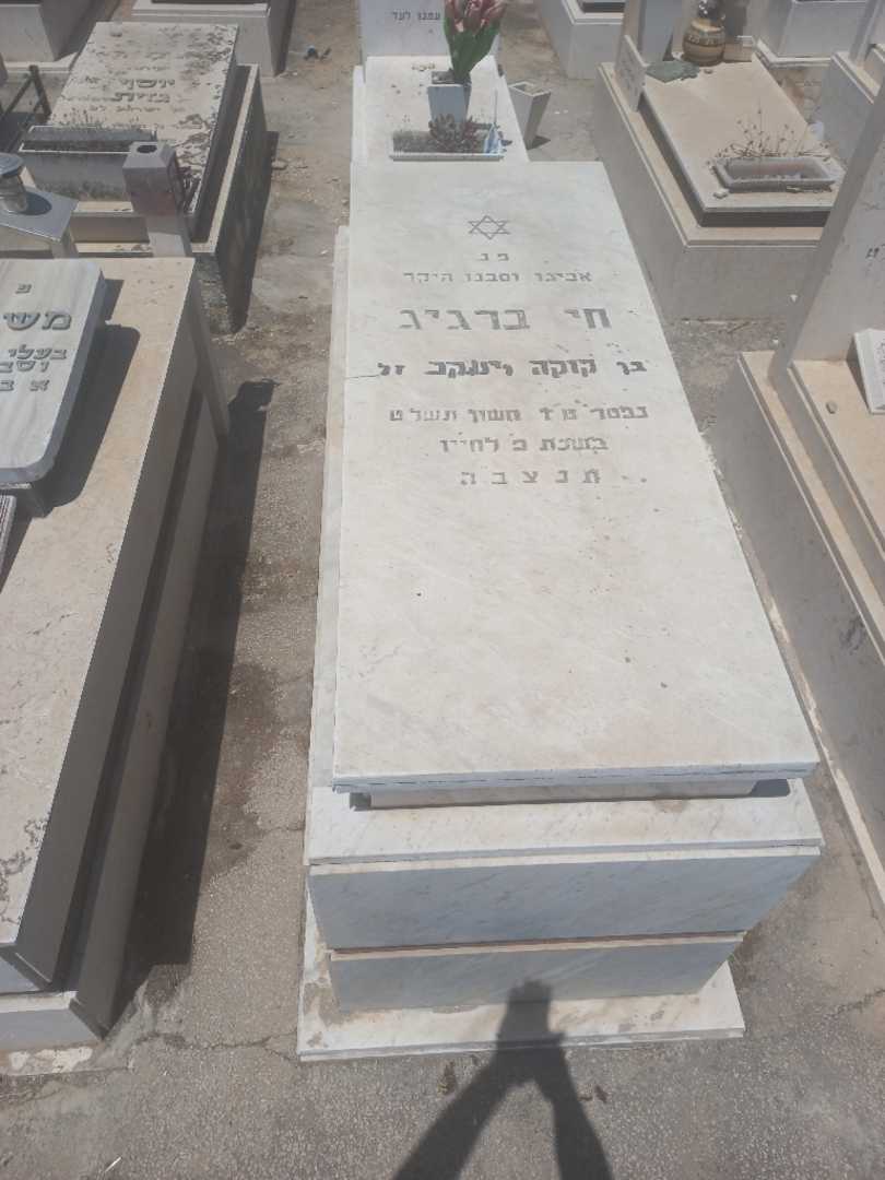 קברו של חי ברגיג