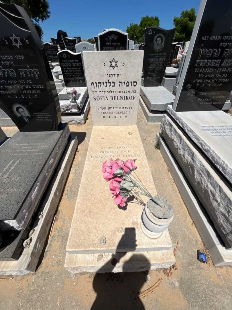 קברו של סופיה בלניקוף