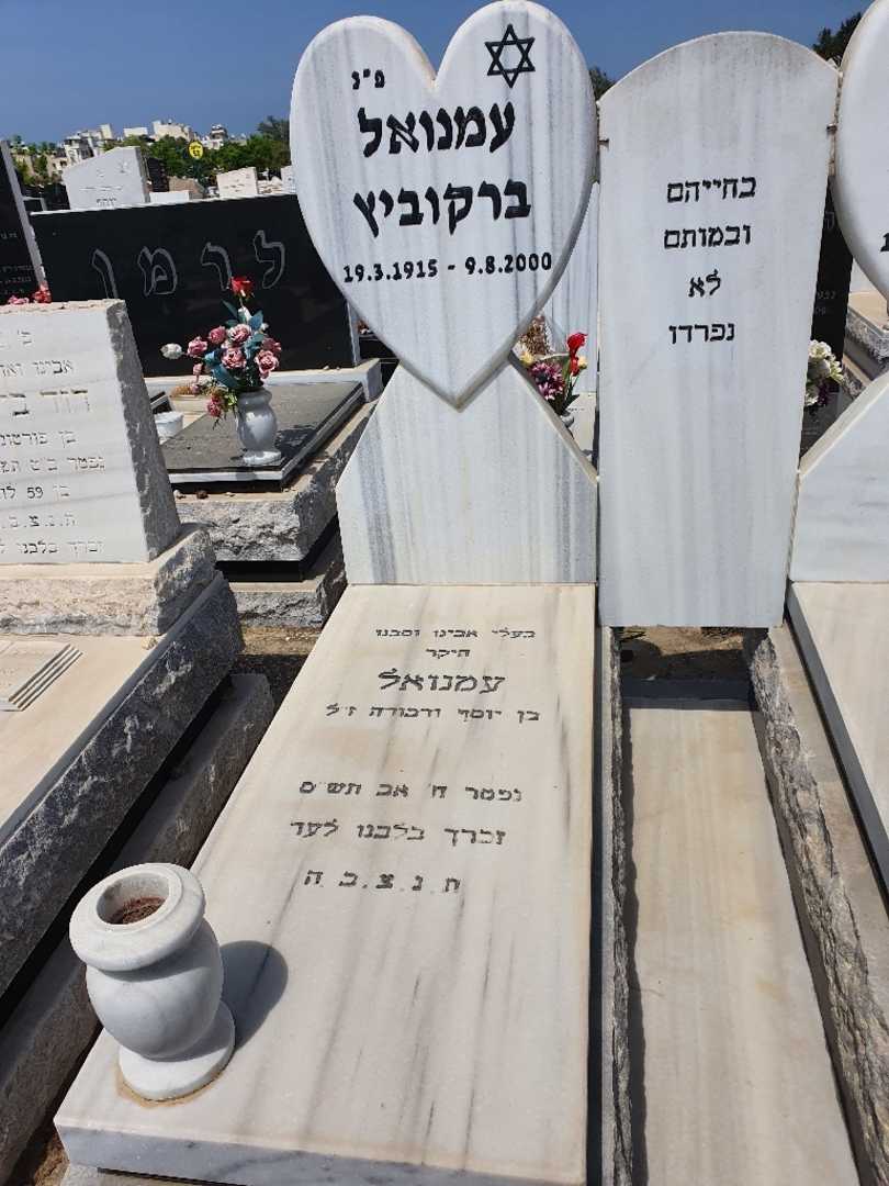קברו של עמנואל ברקוביץ. תמונה 2