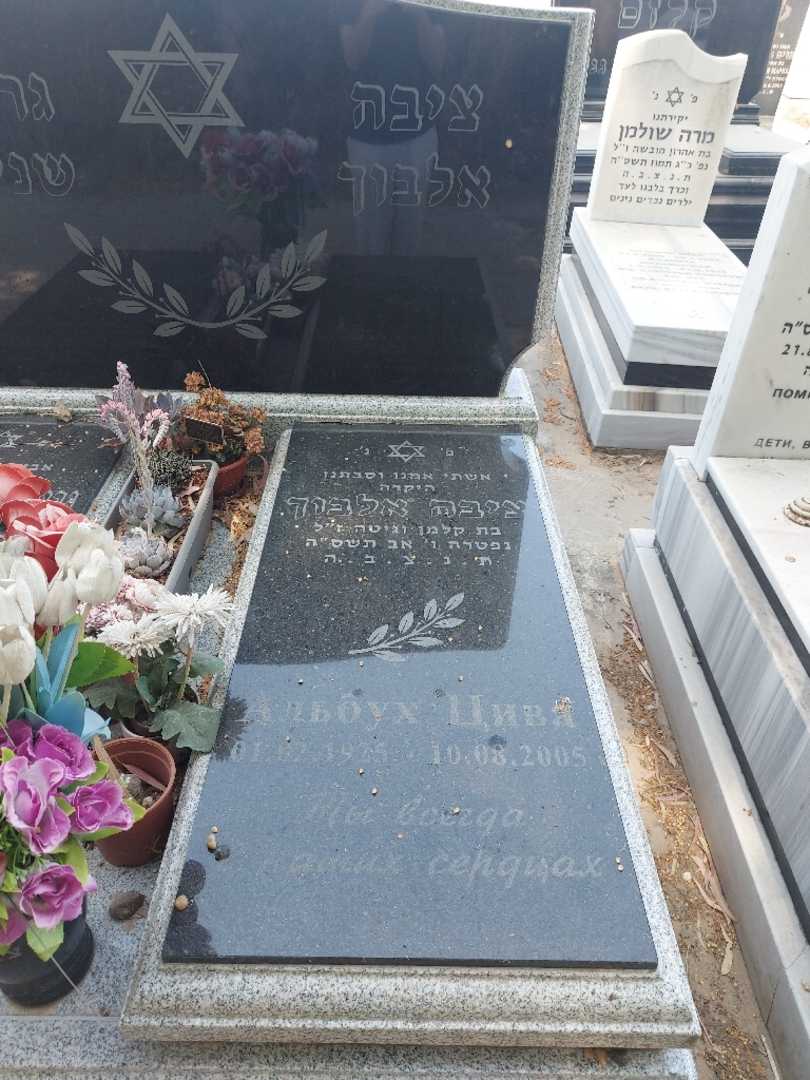 קברו של ציבה אלבוך. תמונה 2
