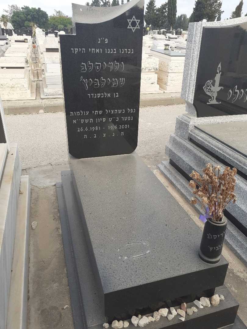 קברו של ולדיסלב שמילביץ