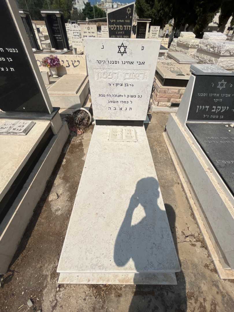 קברו של ראובן רפסון. תמונה 3