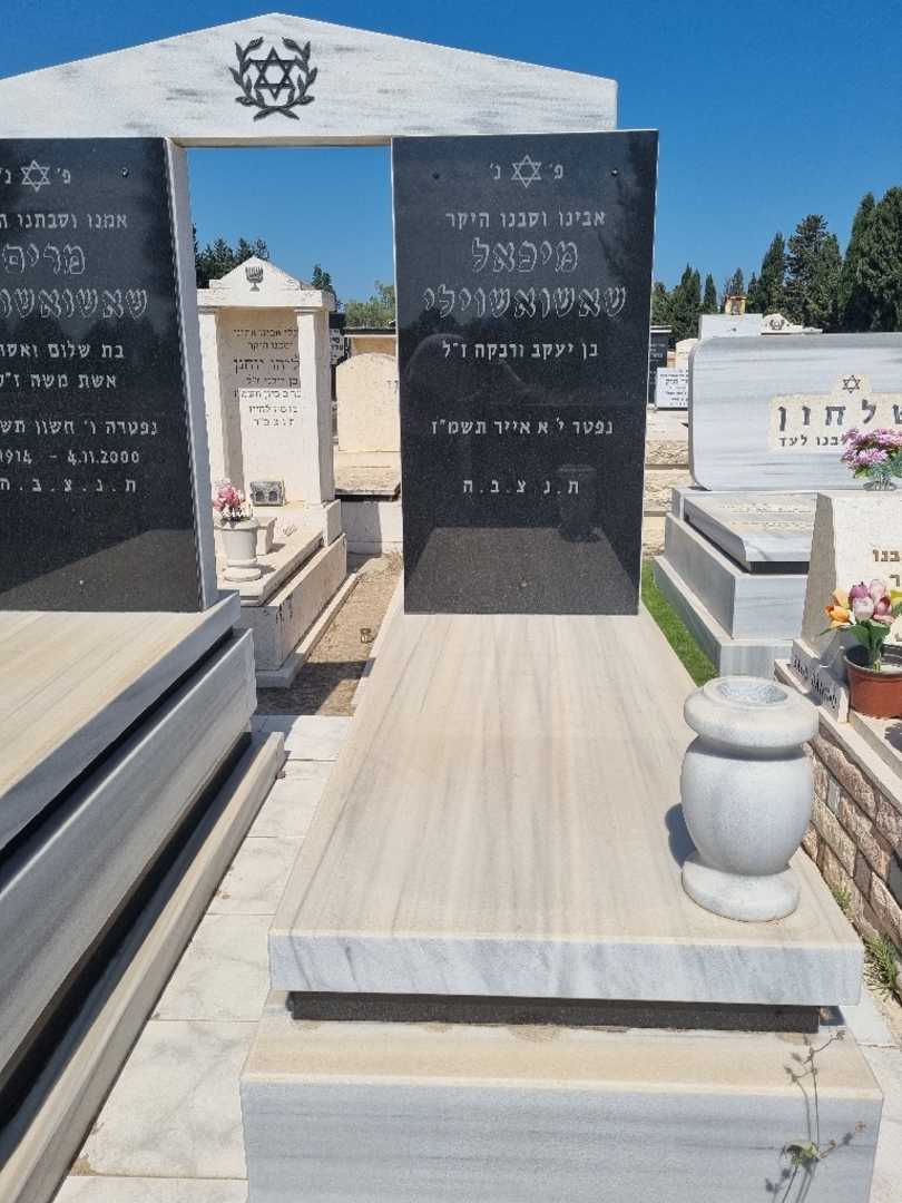 קברו של מיכאל שאשואשוילי. תמונה 2