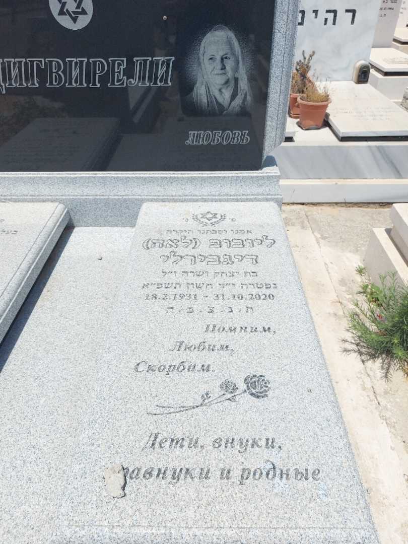 קברו של ליובוב "לאה" דיגברלי. תמונה 1