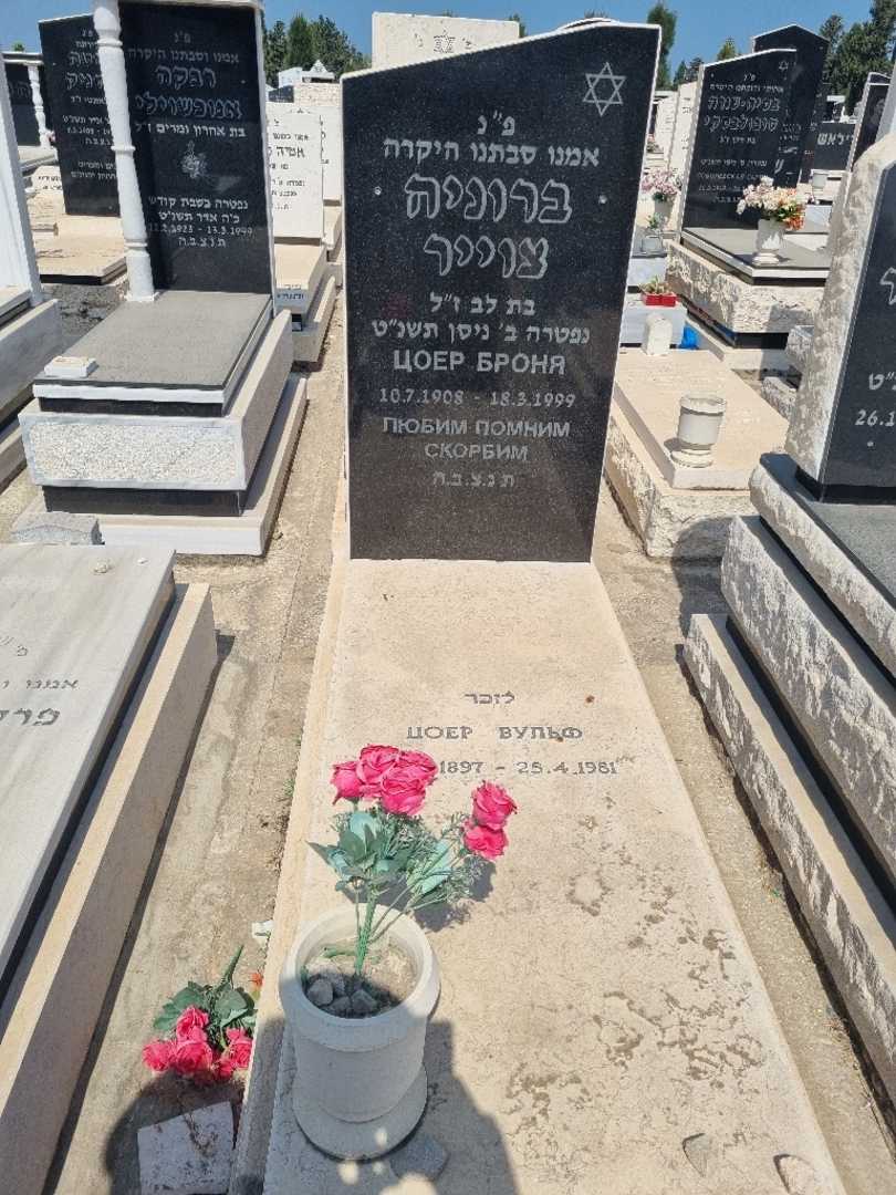 קברו של וולף צוייר
