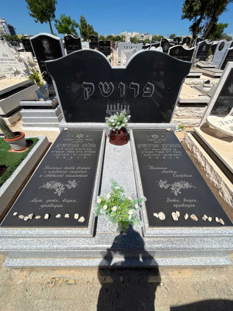 קברו של אהרון פרושק. תמונה 2