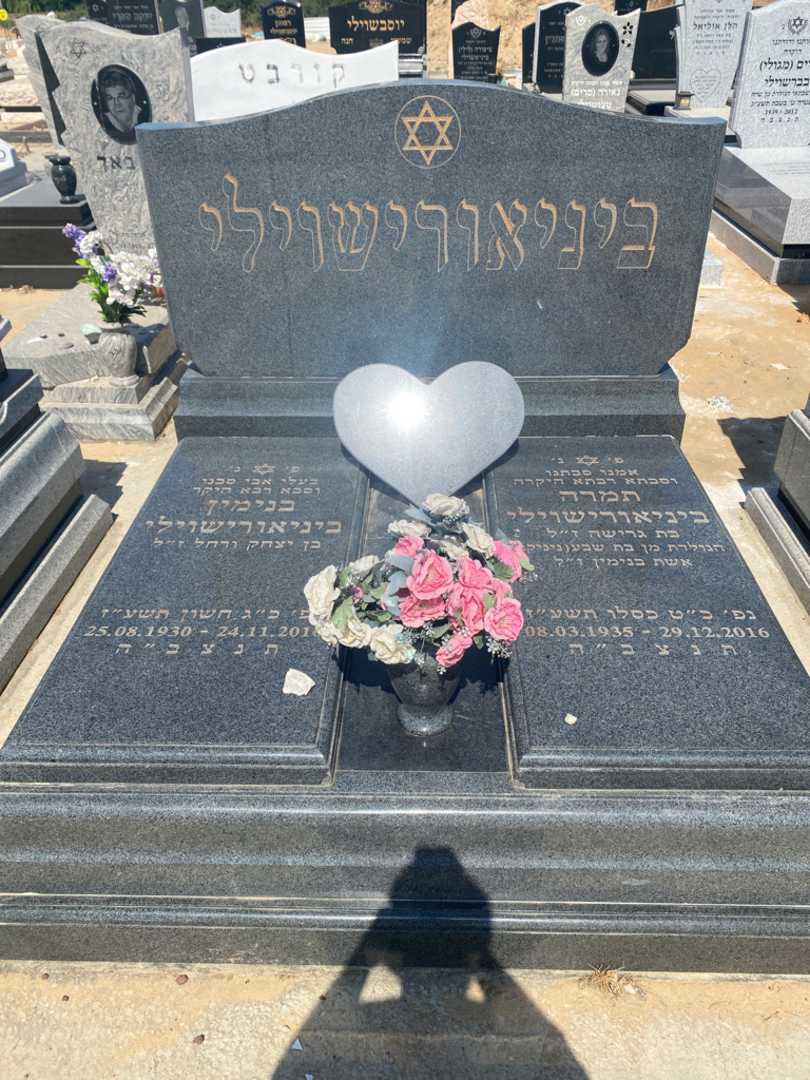 קברו של תמרה ביניאורישוילי. תמונה 1