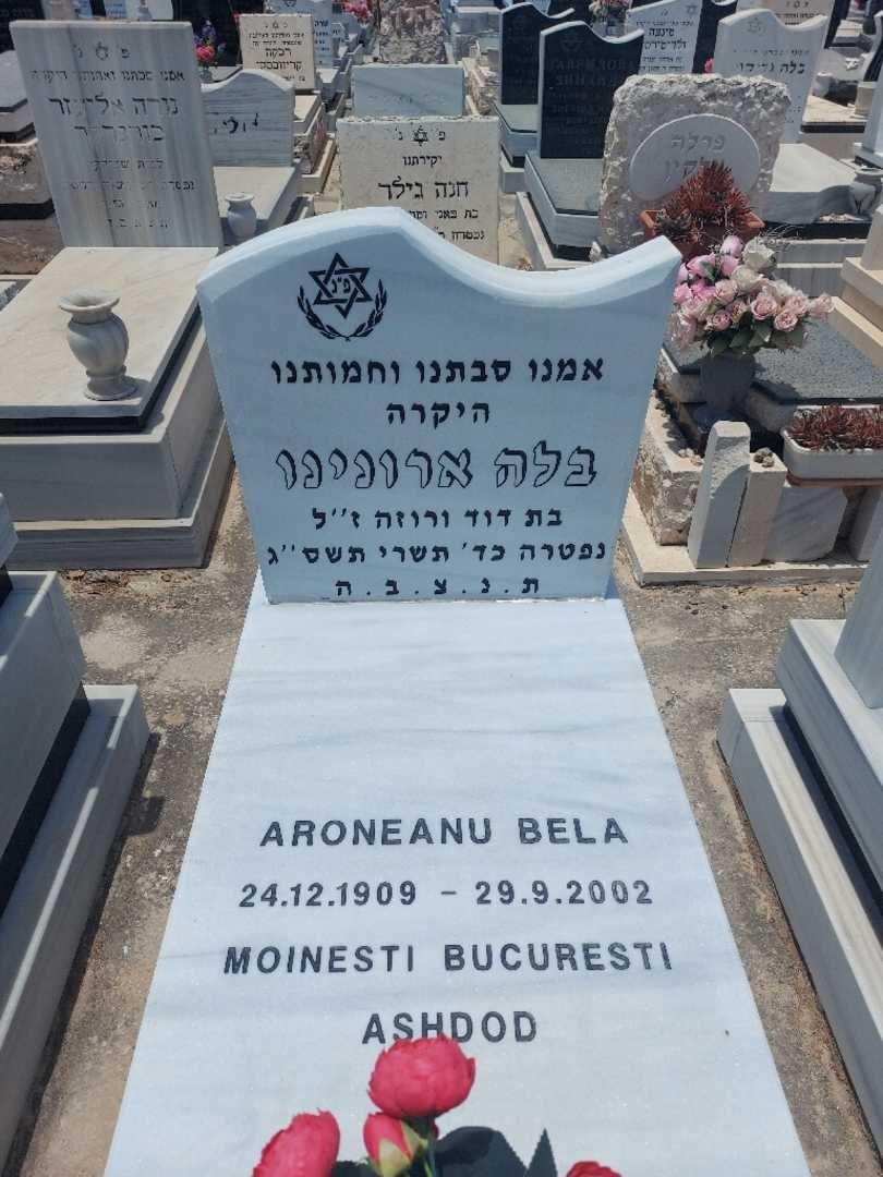 קברו של בלה ארונינו