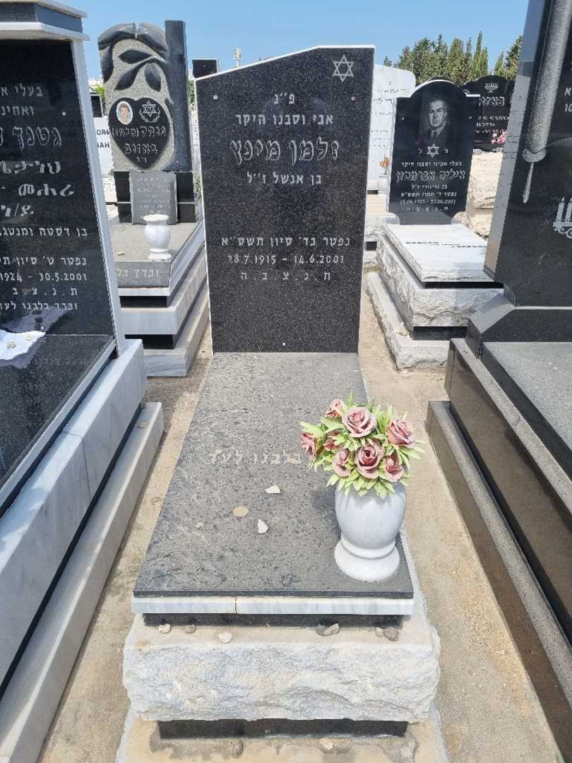 קברו של זלמן מינץ