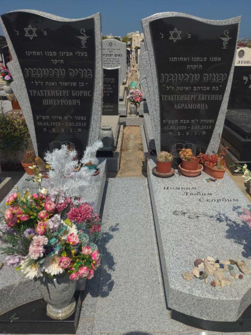קברו של בוריס טרכטנברג. תמונה 1