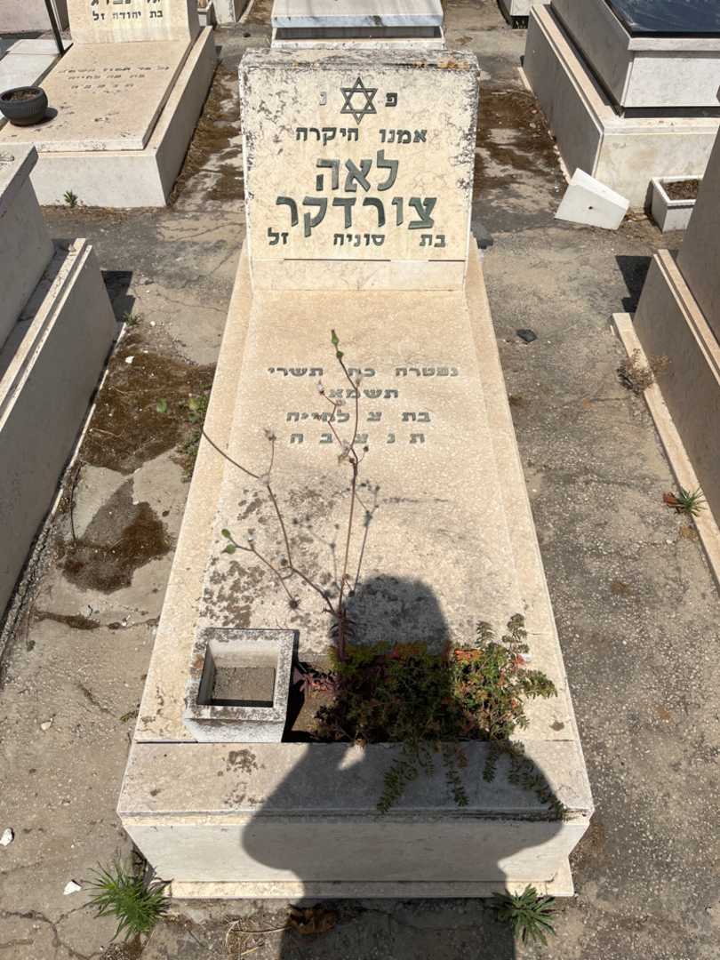 קברו של לאה צורדקר
