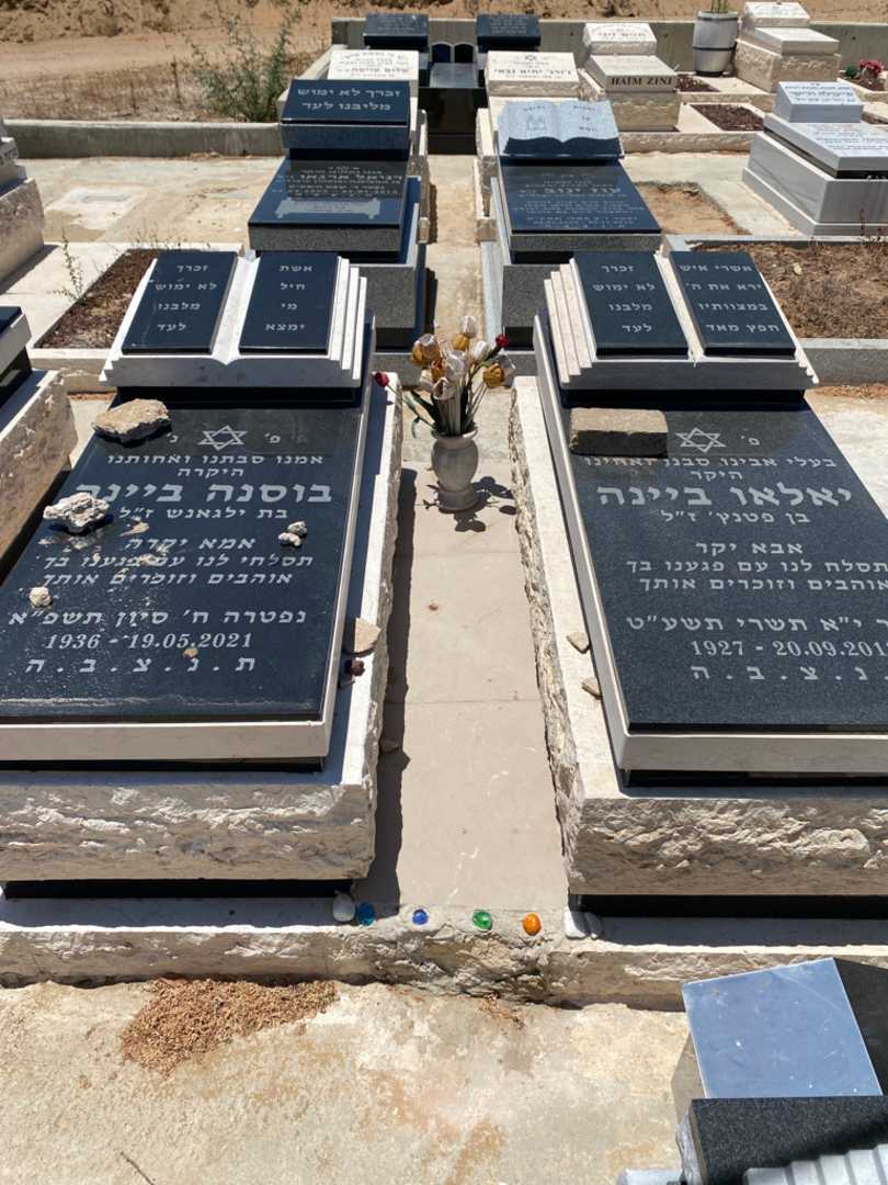 קברו של בוסנה ביינה. תמונה 1