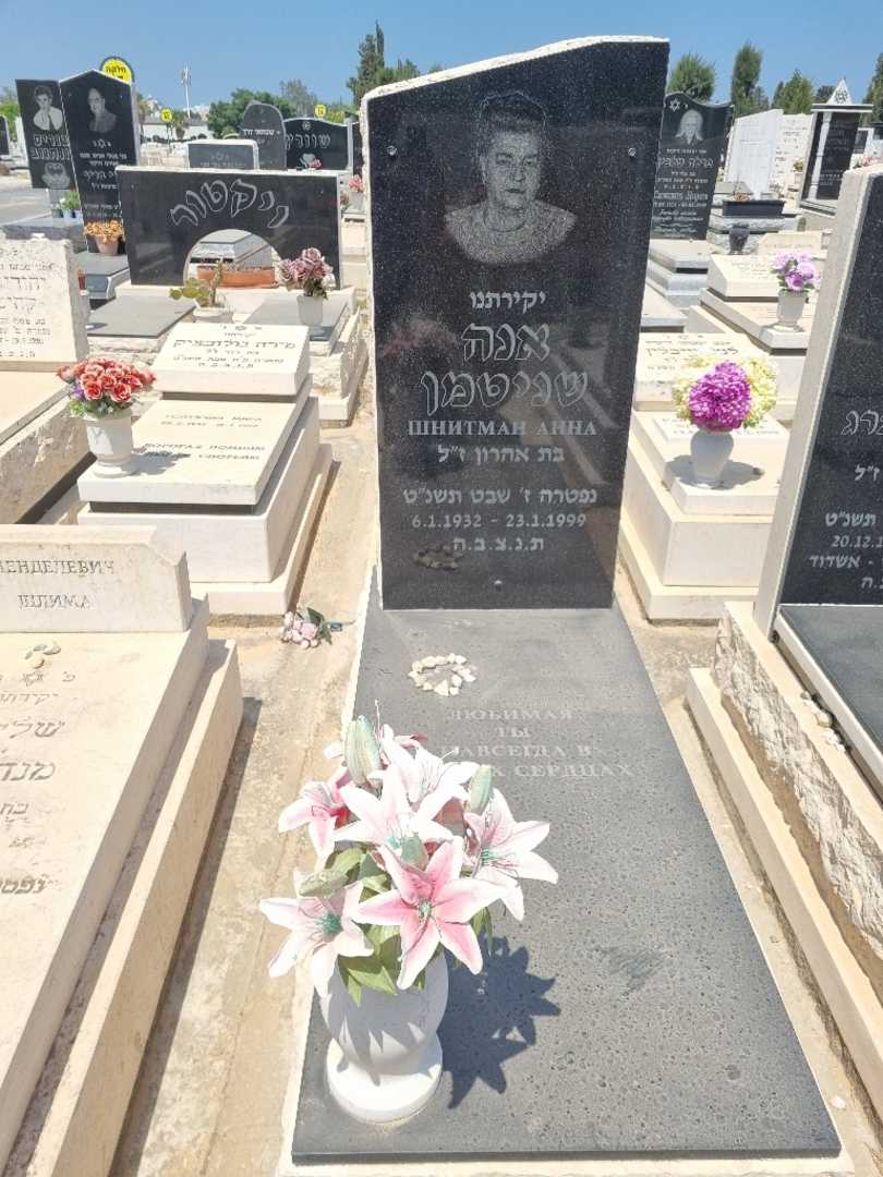 קברו של אנה שנייטמן